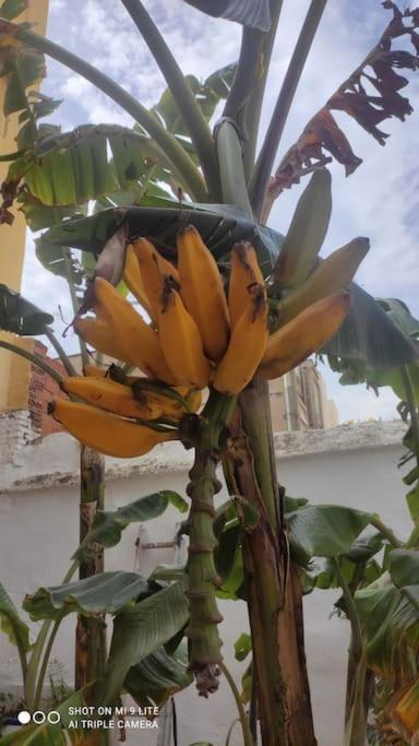 Precioso Apartamento Con A/A En Ruzafa Con Terracita Privada Y Acceso A Un Jardin, Para 2-3 Personas فالنسيا المظهر الخارجي الصورة